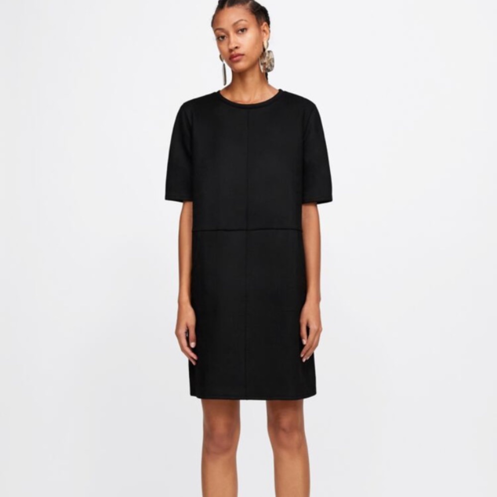 Zara Faux Suede Dress - Picture 4 of 4